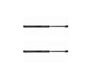 Pair Tailgate Trunk Gas Shock Struts Fits Chevrolet AVEO KALOS Daewoo KALOS